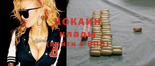 твердый Инсар